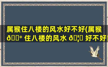 属猴住八楼的风水好不好(属猴 💮 住八楼的风水 🦈 好不好吉利)